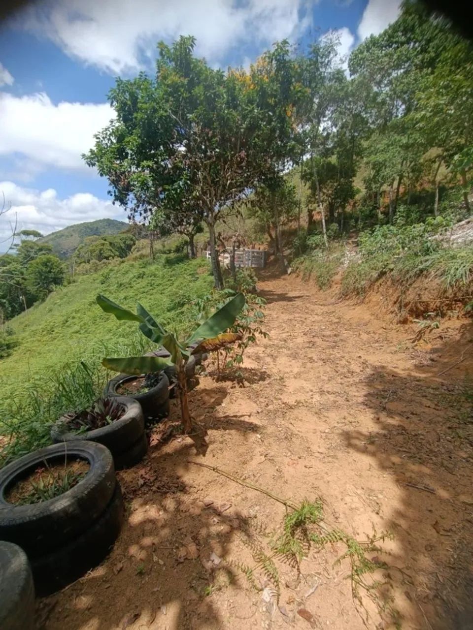 Chácara com casa em Santa Leopoldina  - Foto 4