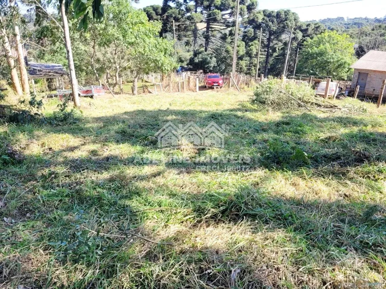 Terreno Catanduva Carambeí - Foto 3