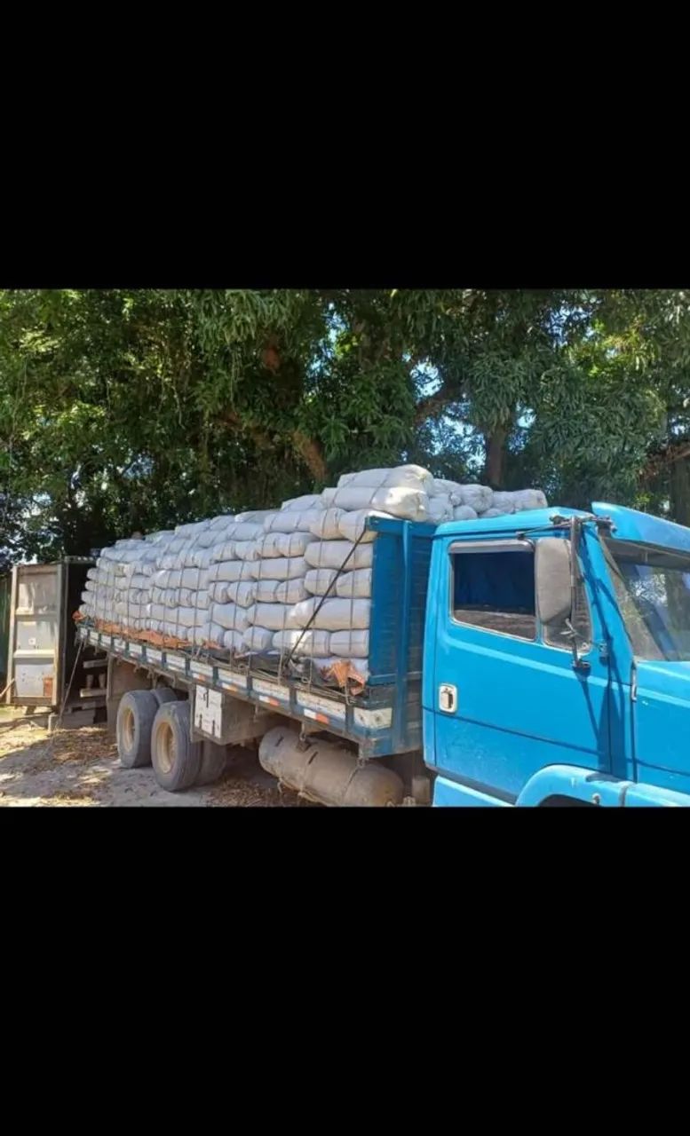 Silagem de milho verde - Foto 4