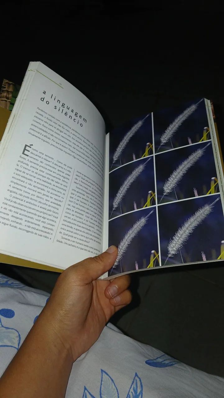 OSHO TANTRA - Foto 3
