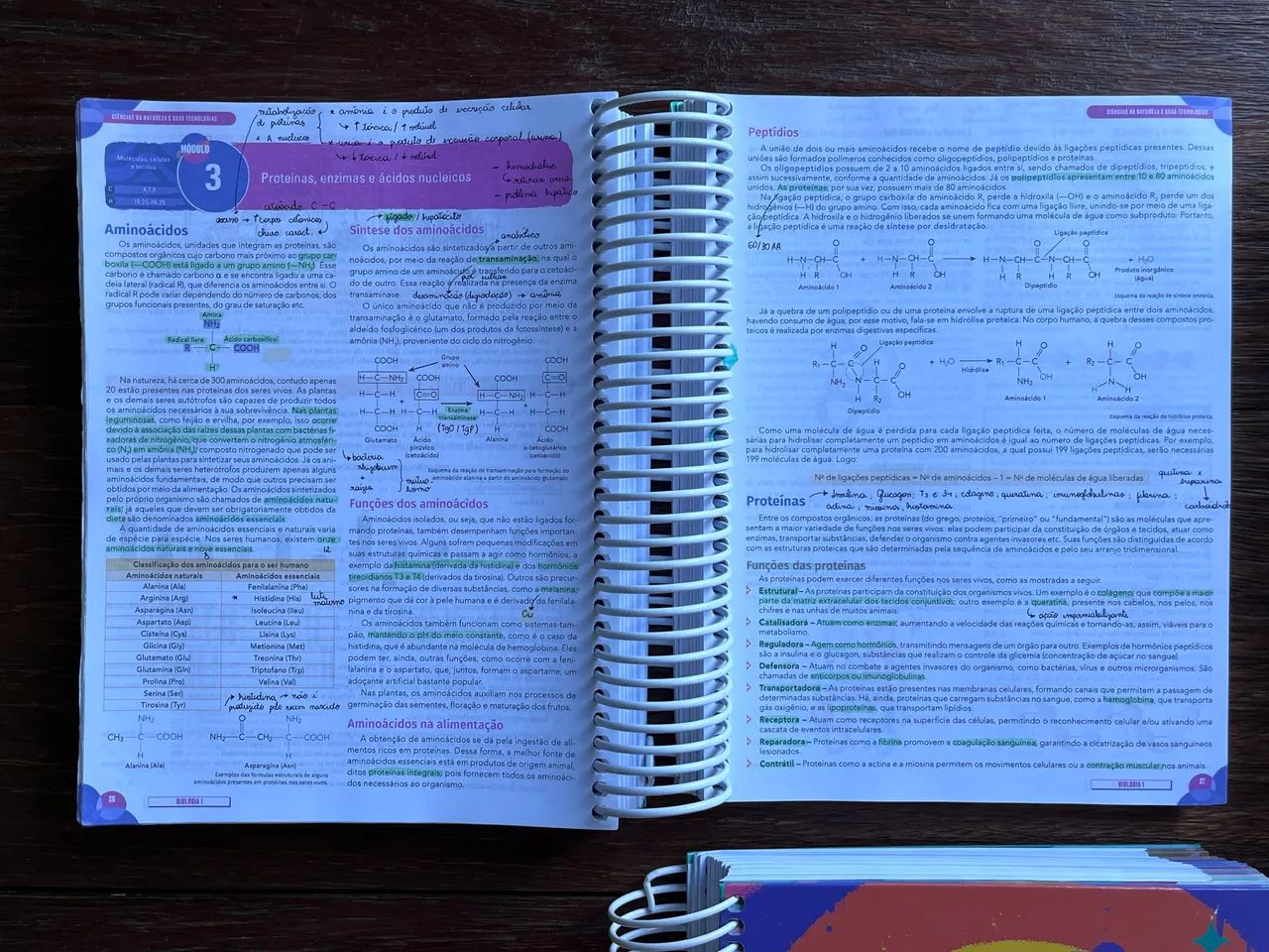 Apostilas Pré-Vestibular SAS 2024 ? Livros 1, 2, 3 e 4 - Foto 3