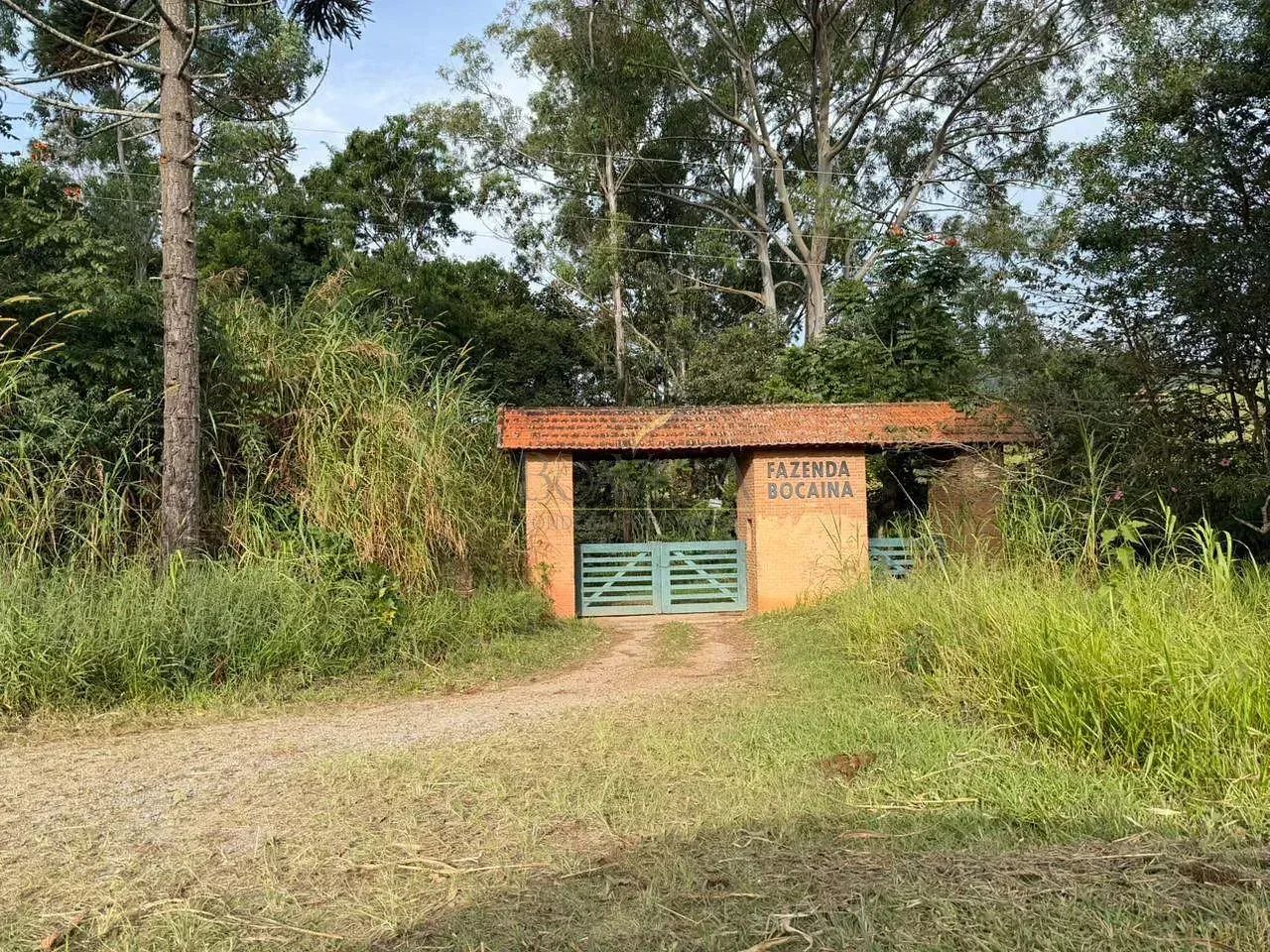 Sítio à venda | Barrocão | Piracaia, SP - Foto 3