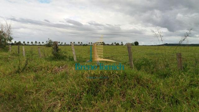 Fazenda Itamaraju - Foto 7