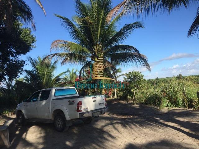 Fazenda em Belmonte-BA - Foto 5