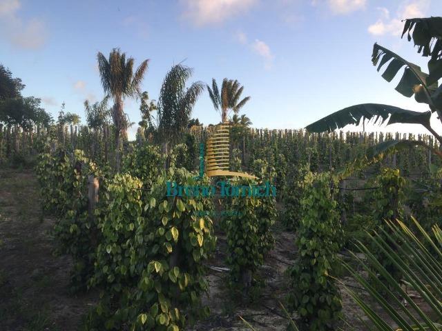 Fazenda em Belmonte-BA