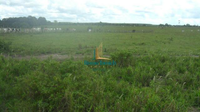 Fazenda em Eunápolis - Foto 5