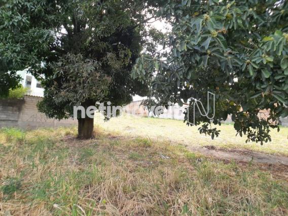 Terreno à venda em Alto dos pinheiros, Belo horizonte cod:767073 - Foto 12