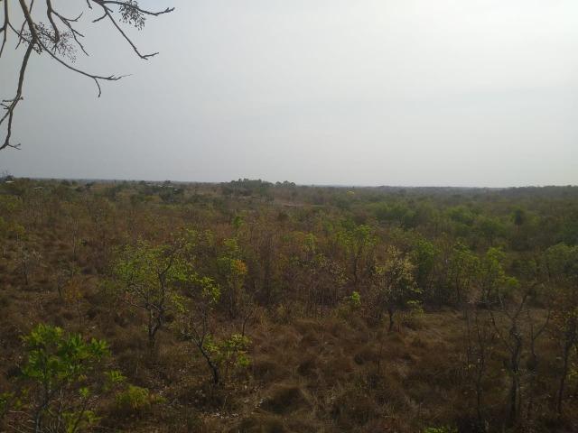 Chácara - Foto 8