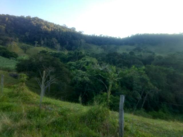 Vende-se Propriedade - Foto 4
