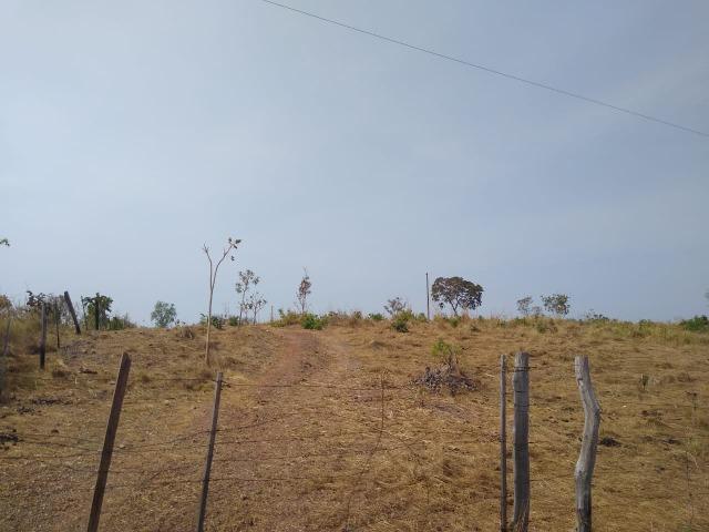 Chácara - Foto 9