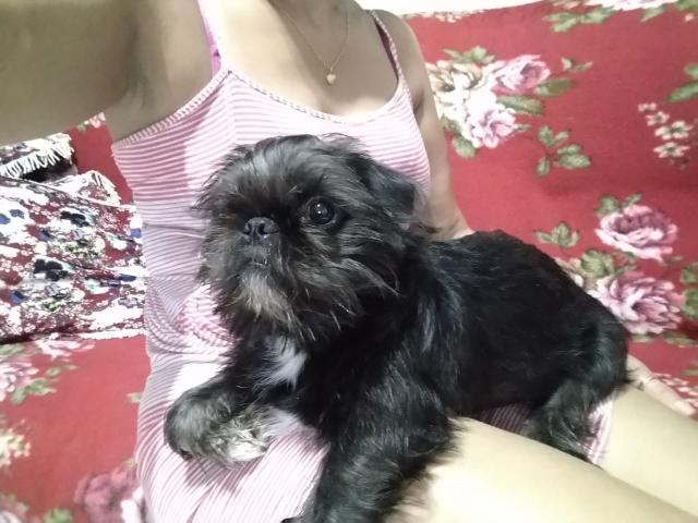 Procuro uma namorada - Foto 3