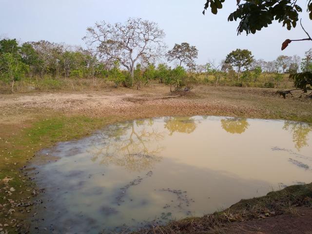 Chácara - Foto 5