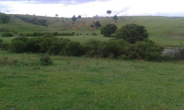 Fazenda a venda no extremo sul da bahia 170 ha - Foto 19