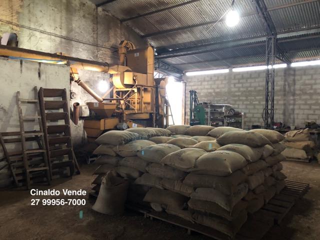 Fazenda com 35 alqueires (169,40 hectares) em São Mateus ES - Foto 13