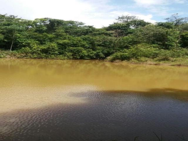 Chácara à venda com 3 dormitórios em Zona rural, Cezarina cod:em527 - Foto 7