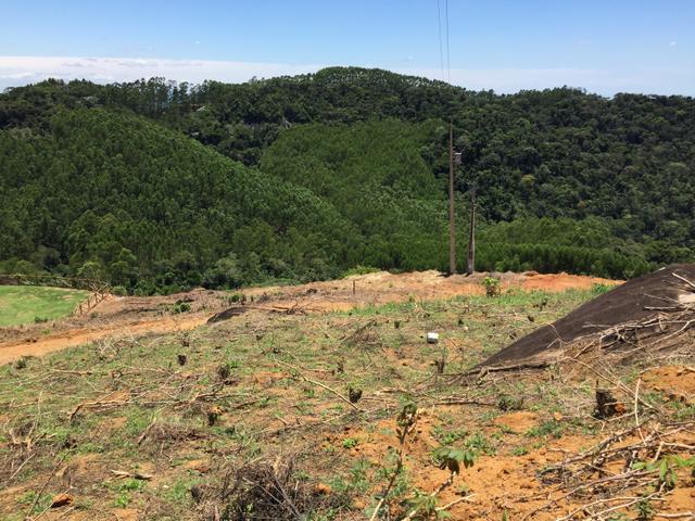 Sítio com vista para o litoral entre Fundão e Santa Teresa com casa nova - Foto 15
