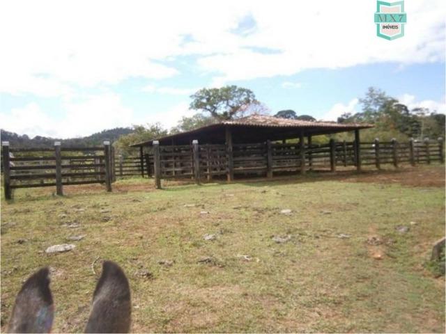 Fazenda na cidade de Ibirataia a 340 Km de Salvador e 320 Km de Camaçari - Foto 9