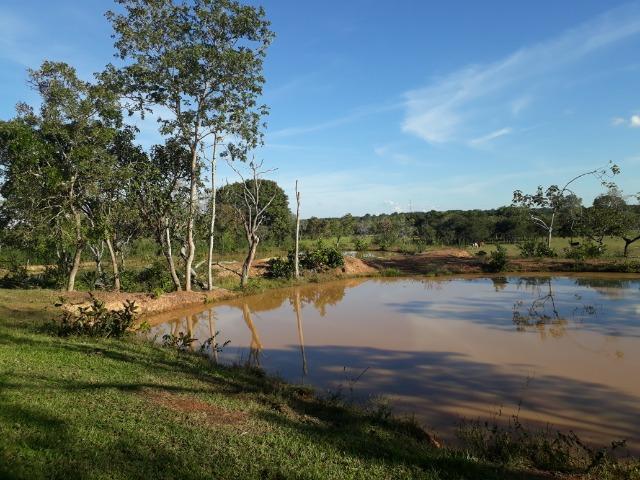 Chácara com caneiros, aves, tanque com peixes na BR 364 - Foto 11
