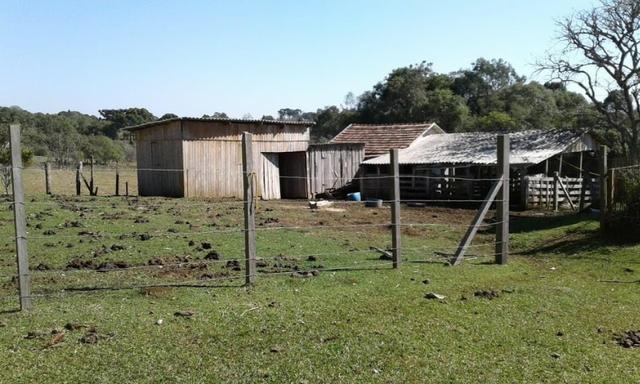 Ótim chácara geradora de rendimentos com 08 ha. - Foto 3