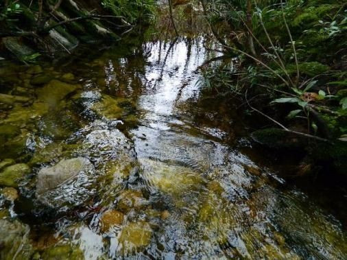 Oportunidade única Taquaraçu de Minas Sítio 1.340 Metros com Barracão 36 m2 - Foto 2