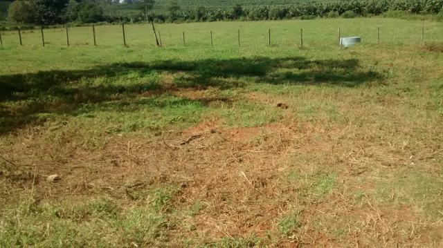 Fazenda 26 alqueires cariacica - Foto 4