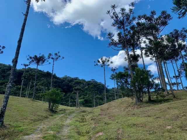 Chácara em Urubici/ terreno em Urubici/ Urubici - Foto 2