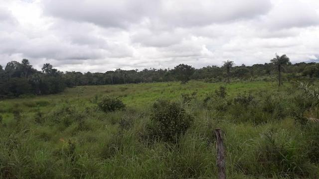 Sitio 5 Alqueires em Trombas-GO