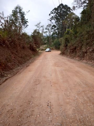 08D Pode ser seu !! 1000m² - Foto 5