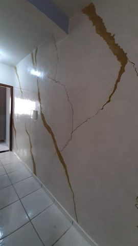 Pintor profissional - Foto 2