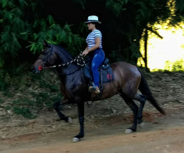 Égua MM registrada. - Foto 4