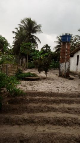 Sitio na Baixa da Areia, Acajutiba-Ba, com uma casa nova área: 01 tarefa e 1/4 - Foto 11