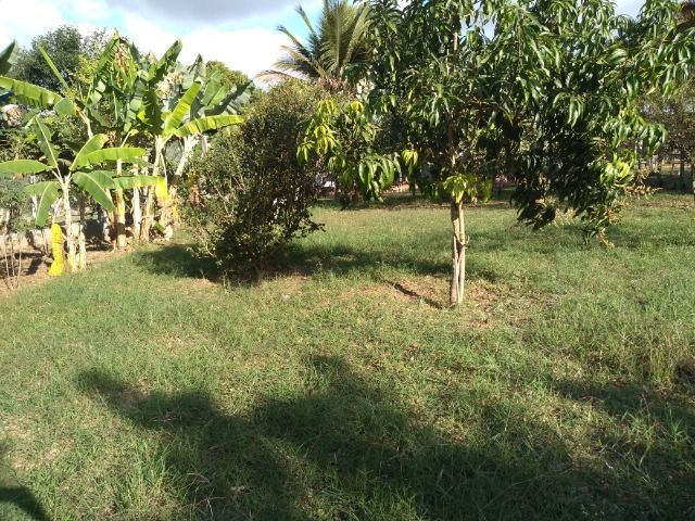 Vendo terreno - Foto 2