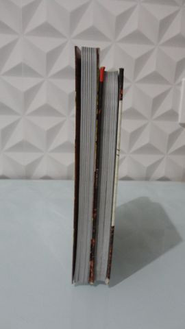 Supernatural - 2 Livros - Foto 4