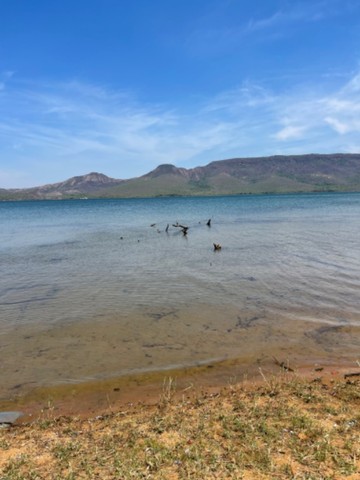Vendo chácara na beira do lago  - Foto 4
