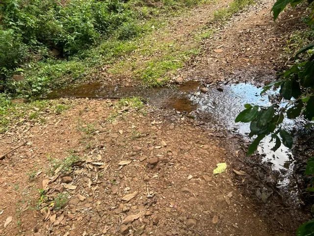 Chácara de 7,4 hectares em Ibema, próximo a cidade! - Foto 5