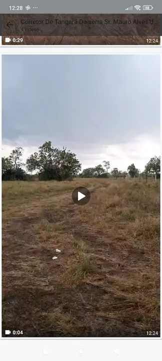Fazenda com 3.000 hect 75% aberta em porto alegre do norte MT. 7 milhoes - Foto 4