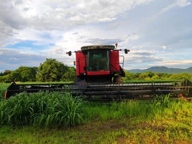 Colheitadeira Massey Ferguson 9690 - Foto 3