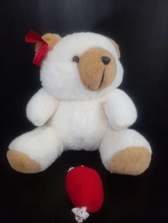 URSO DE PELÚCIA 25 CM COM SACOLINHA DO AMOR - Foto 3