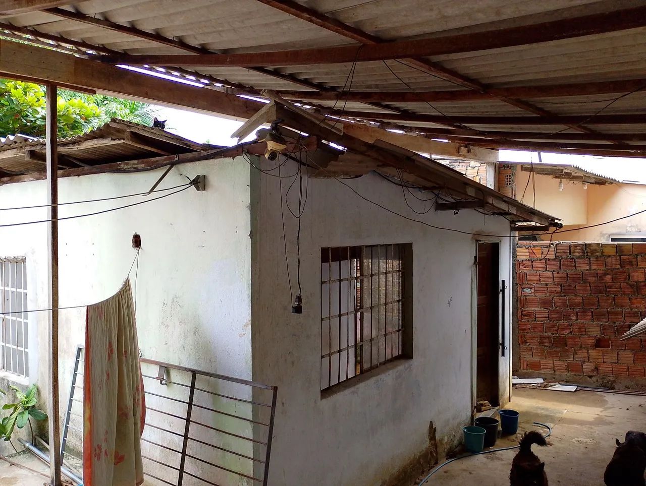 Foto - Manaus - Cidade Nova