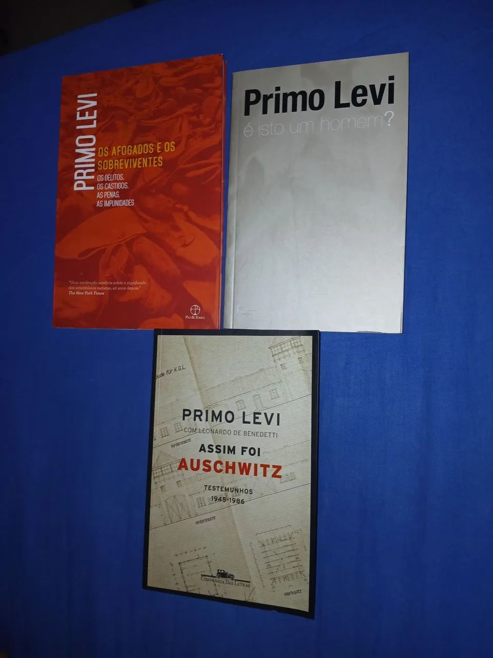 Livro É isto um homem, Os Afogados e os Sobreviventes, Assim Foi Auschwitz- Primo Levi