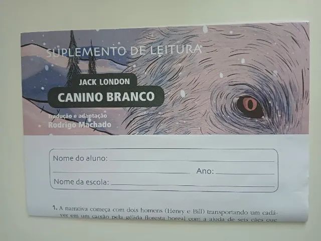 Livro FTD "Canino Branco" - Foto 3