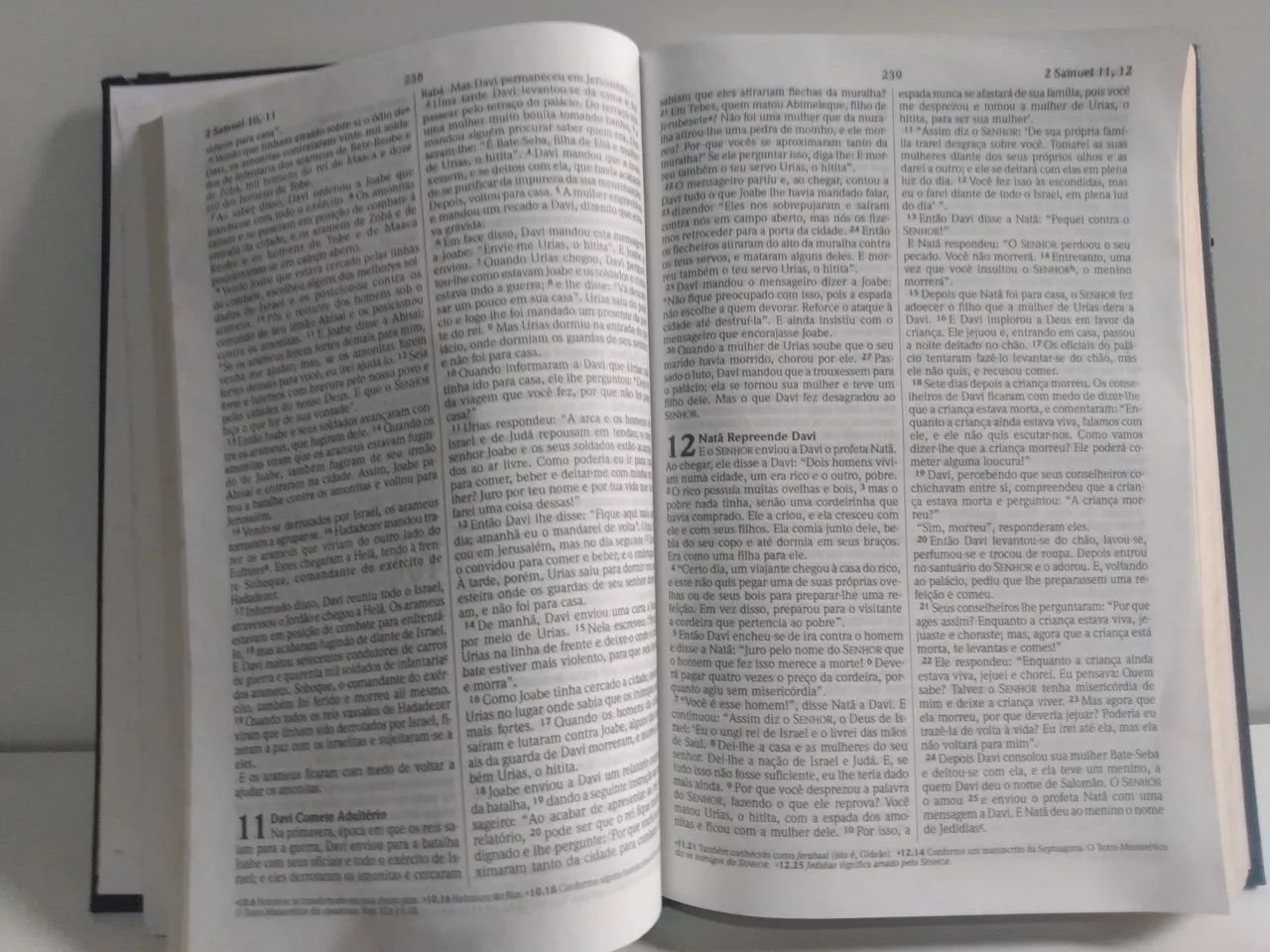 Livros - Bíblia Sagrada NVI Igreja evangélica Batista - Bíblia Ilustrada Infantil  - Foto 5