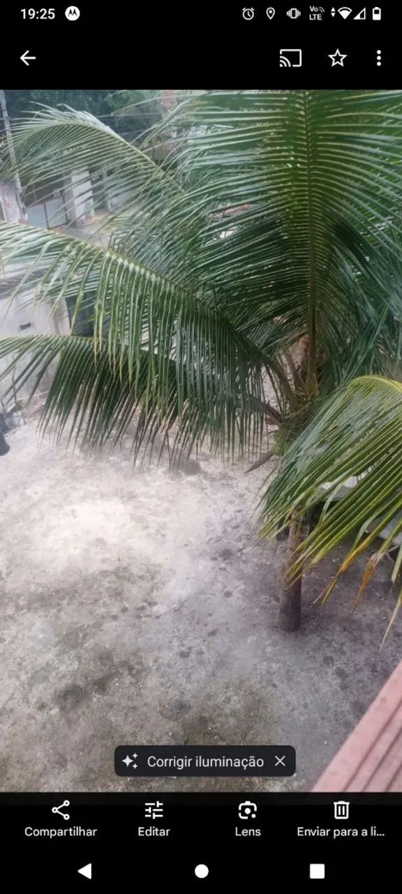 Foto - Rio de Janeiro - Jacarepaguá