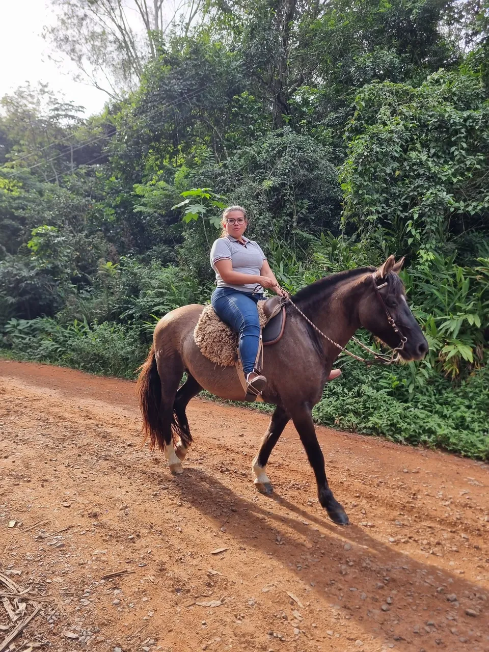 Egua crioula 