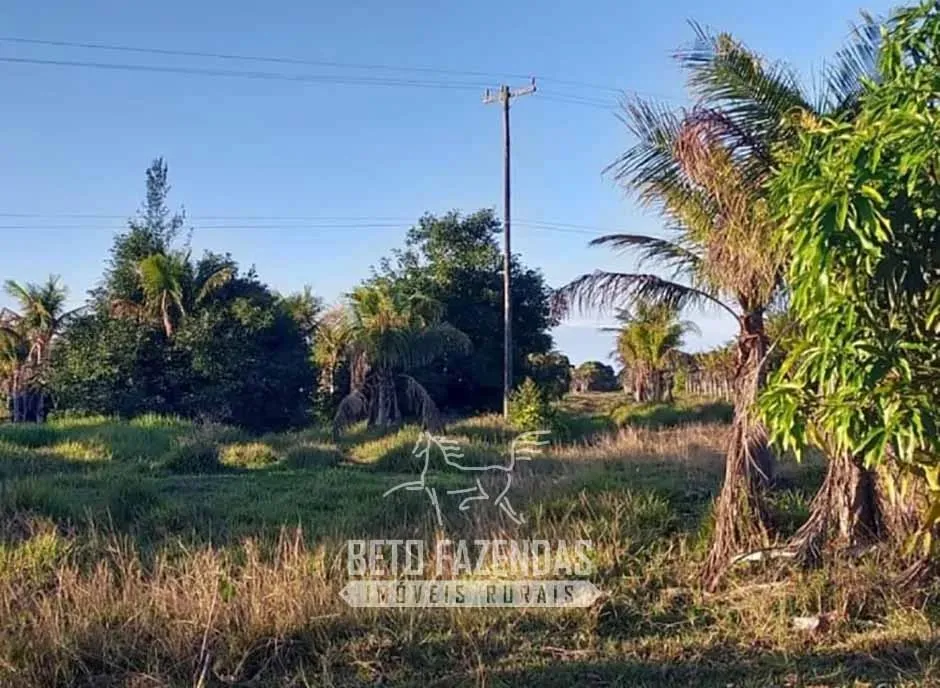 Imóvel para venda possui 2758800 metros quadrados em Centro - Quissamã - RJ