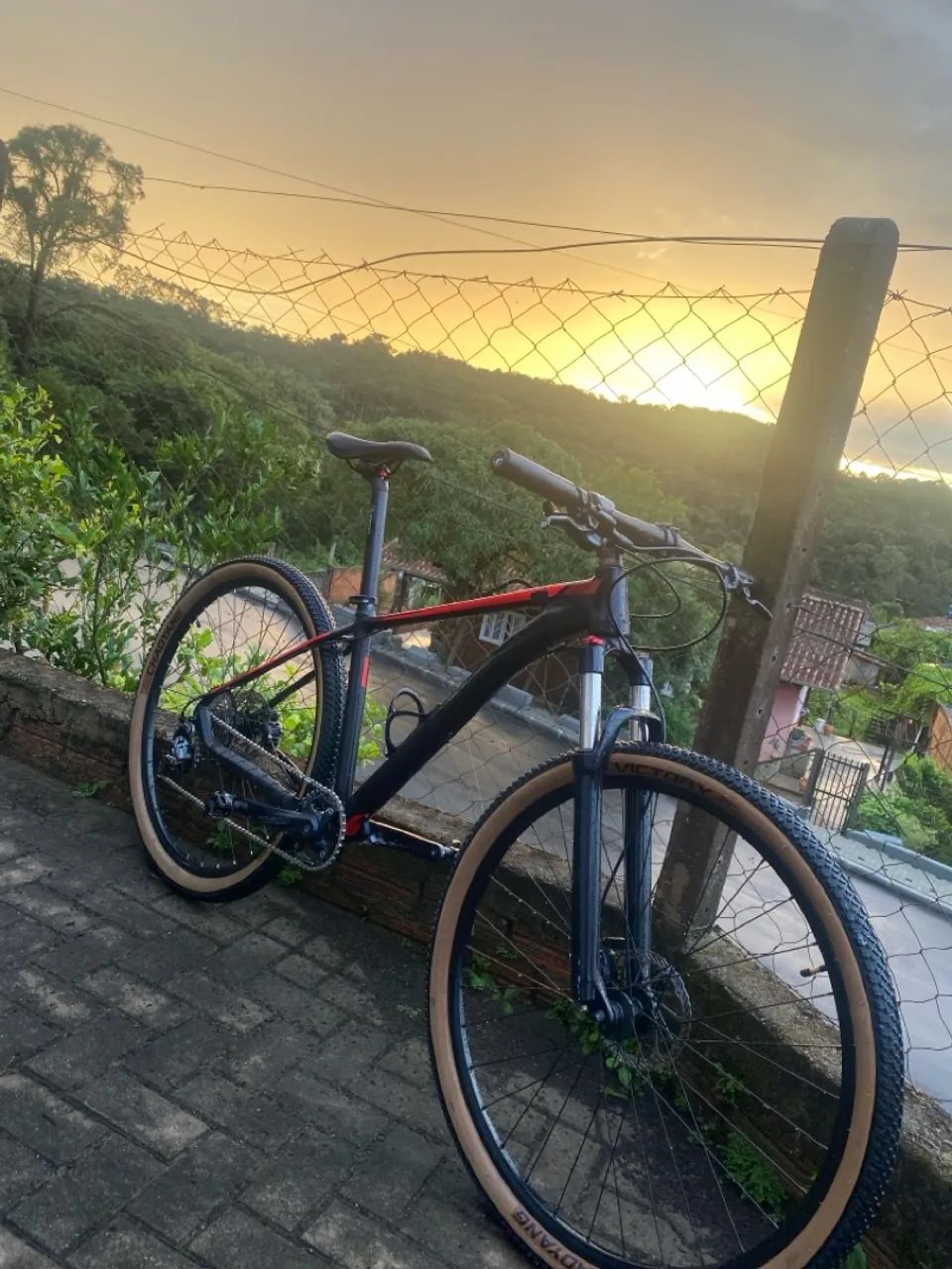 Vicinitech savan aro 29