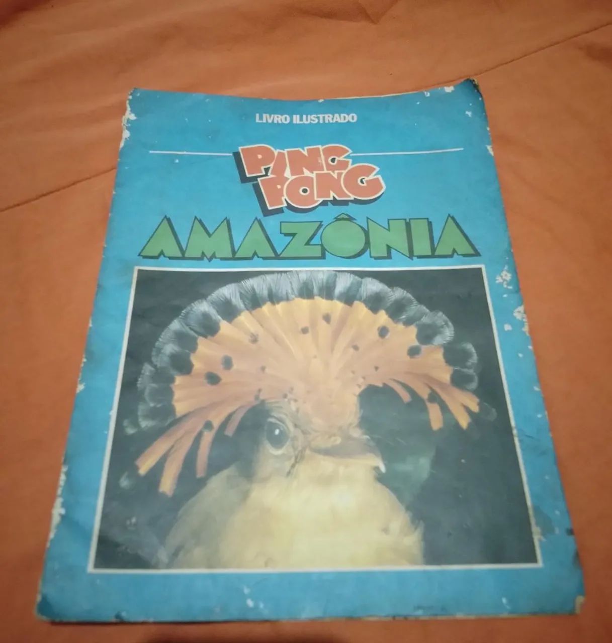 Álbum figurinha Ping Pong Amazônia