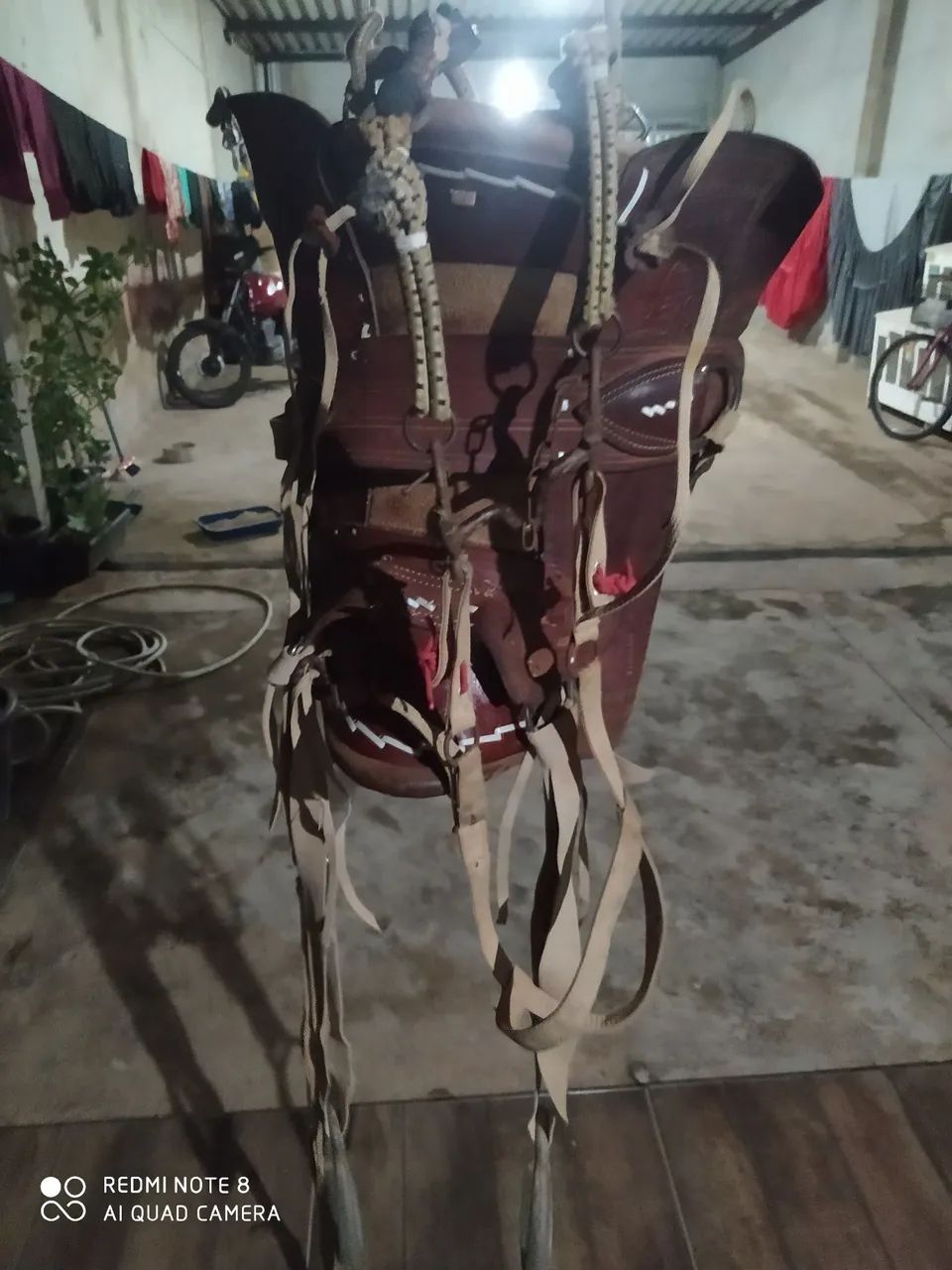 Cela pra cavalo  - Foto 3