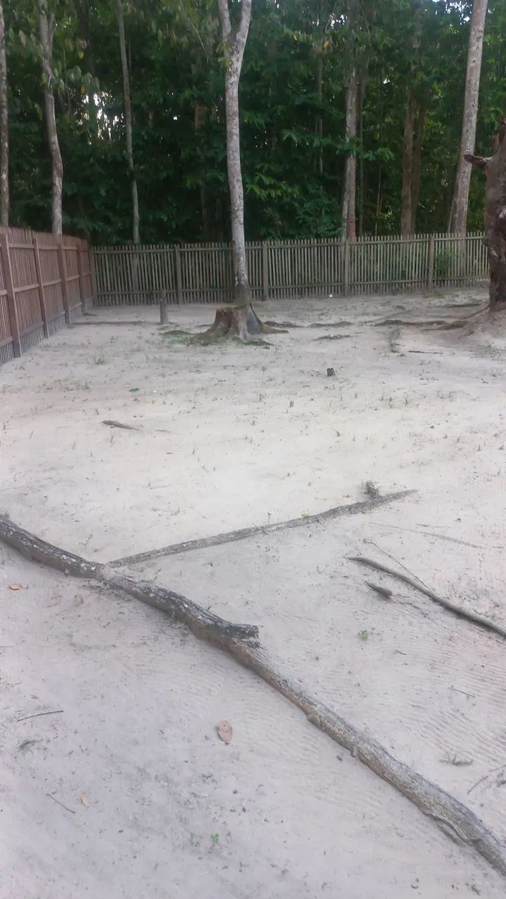 Foto - Santarém - Santana