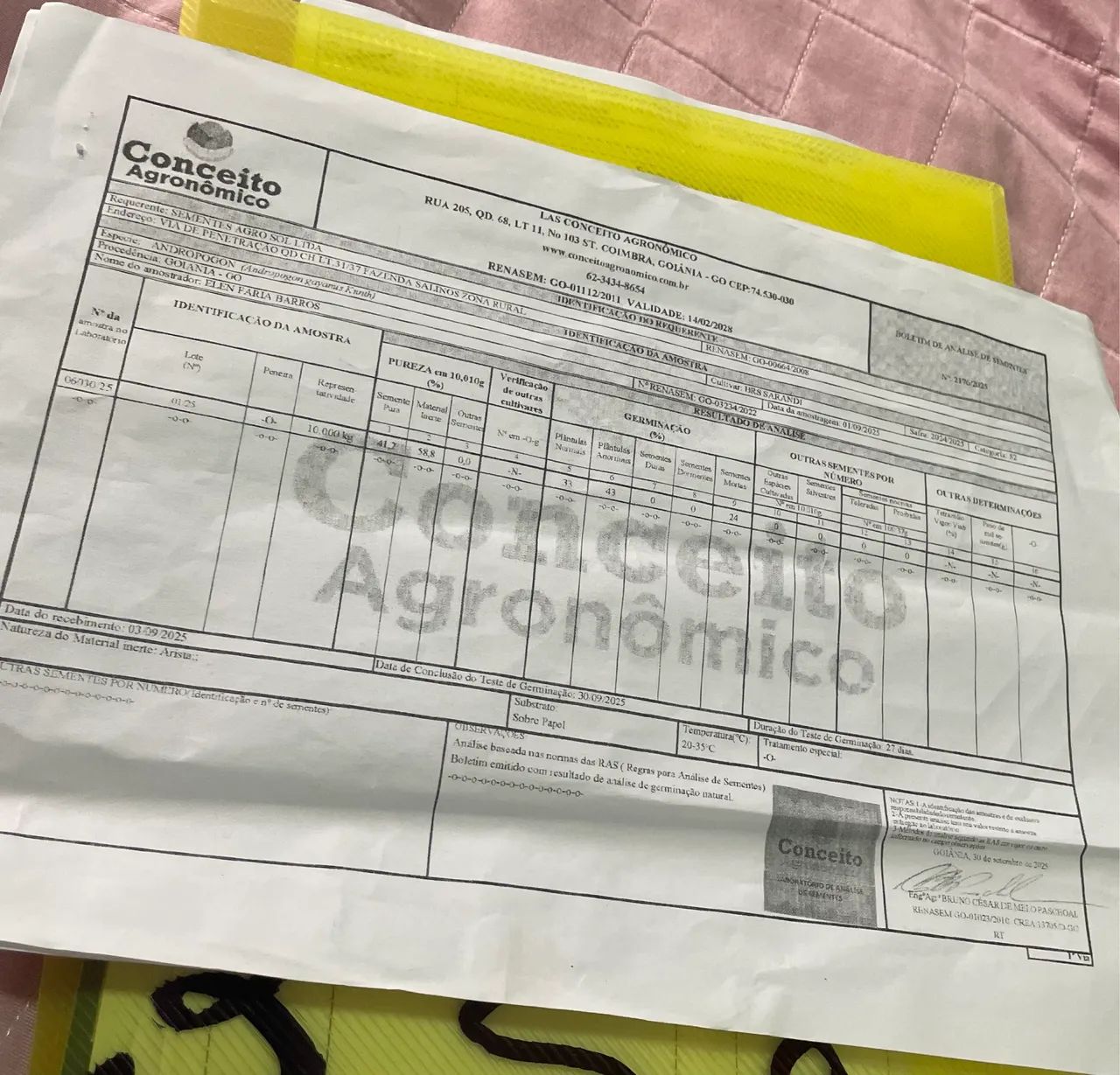 Vendo semente de Capim Sarandi - Foto 3